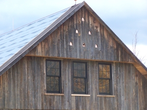  Bird Boxes from Outside of Timber Frame Barn