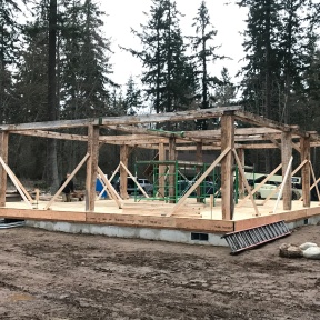 Erected Vermont Timber Frame Barn on Whidbey Island_Day 2