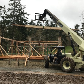 Historic timber frame barn raising_Whidbey Island_Day 1 (3)