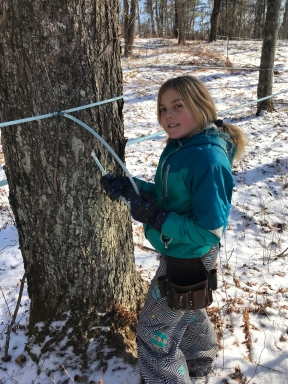 Kiara making maple syrup for green mountain timber frames and gardens